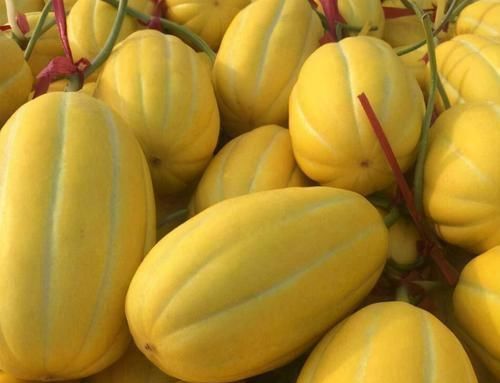 芹菜|每天晚上坚持吃三种食物,清理肠胃,滋补身体,早吃早受益!