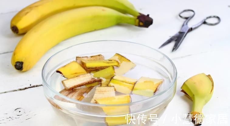 浇灌|建议新人制作果皮水养花，肥效温和持久，原材料好筹集