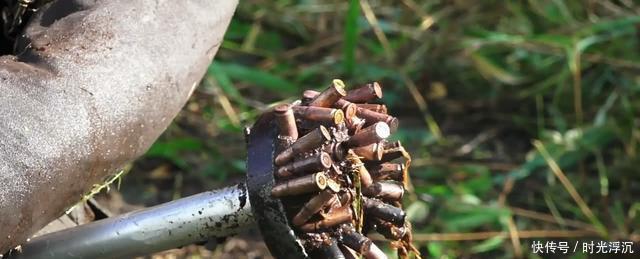 发现|有狙击步枪和子弹,俄罗斯一沼泽地中发现大量二战遗留物!