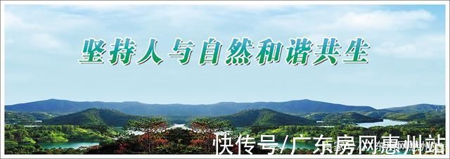 工业园区|惠州:发力绿色制造体系 持续推进工业园区提质增效