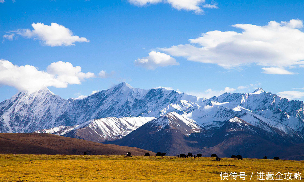 异域|甘孜藏区的隐秘角落，村名异域风情，村内人鼠共存