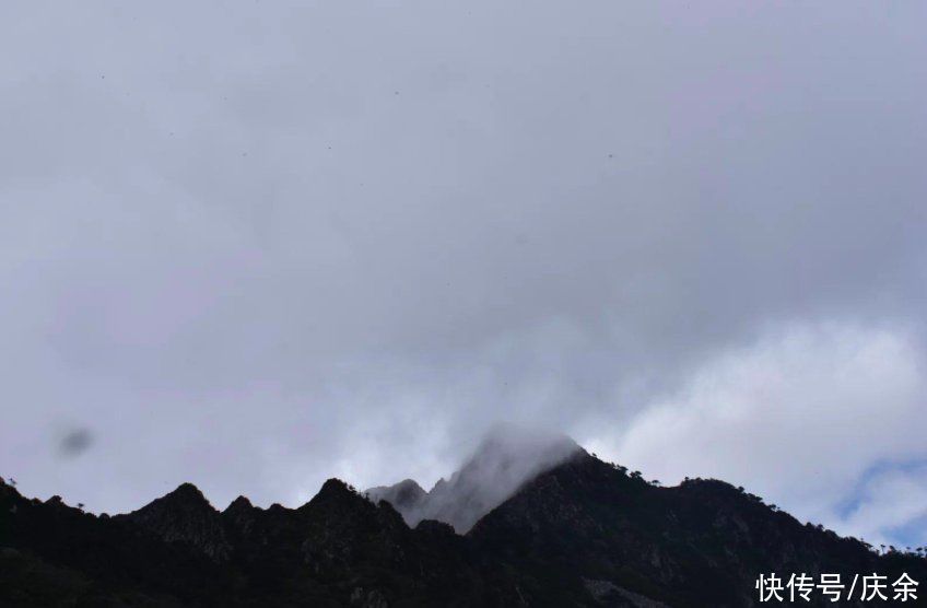 王维|王维隐居终南山,写下一首诗,开篇便美如画卷,令人陶醉