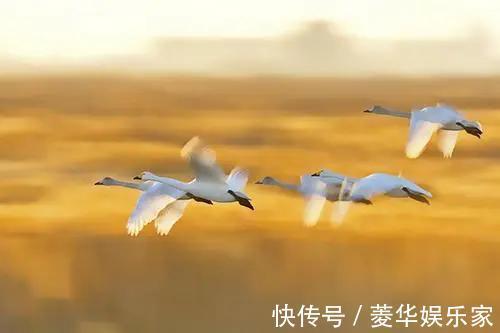 虚情假意|人到50，如果不在四个方面“心狠”一点，难免晚境凄凉