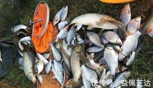 动作|气温低遇上轻口鱼,做好这些调整,浮漂动作再小,提竿也能中鱼!