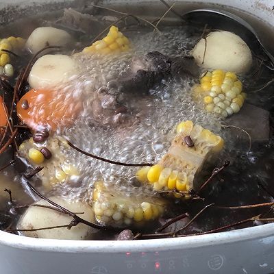 猪横脷|鸡骨草煲猪横脷汤