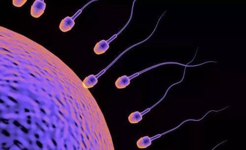 同房|卵子受孕成功时,女性大多是这“感受”,别害羞