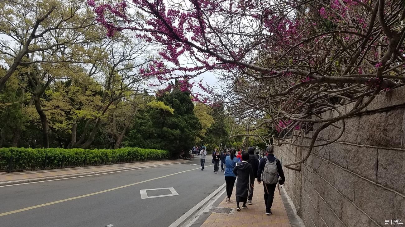 大海|《年终盛典》从西北来到青岛，就是想看看梦中的大海