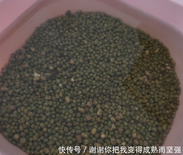 自制绿豆蓉,口感细腻,微甜不腻