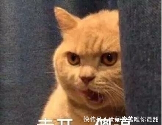 轻松一刻:天气热了,翻箱倒柜找了半天短袖,结果找出来一看