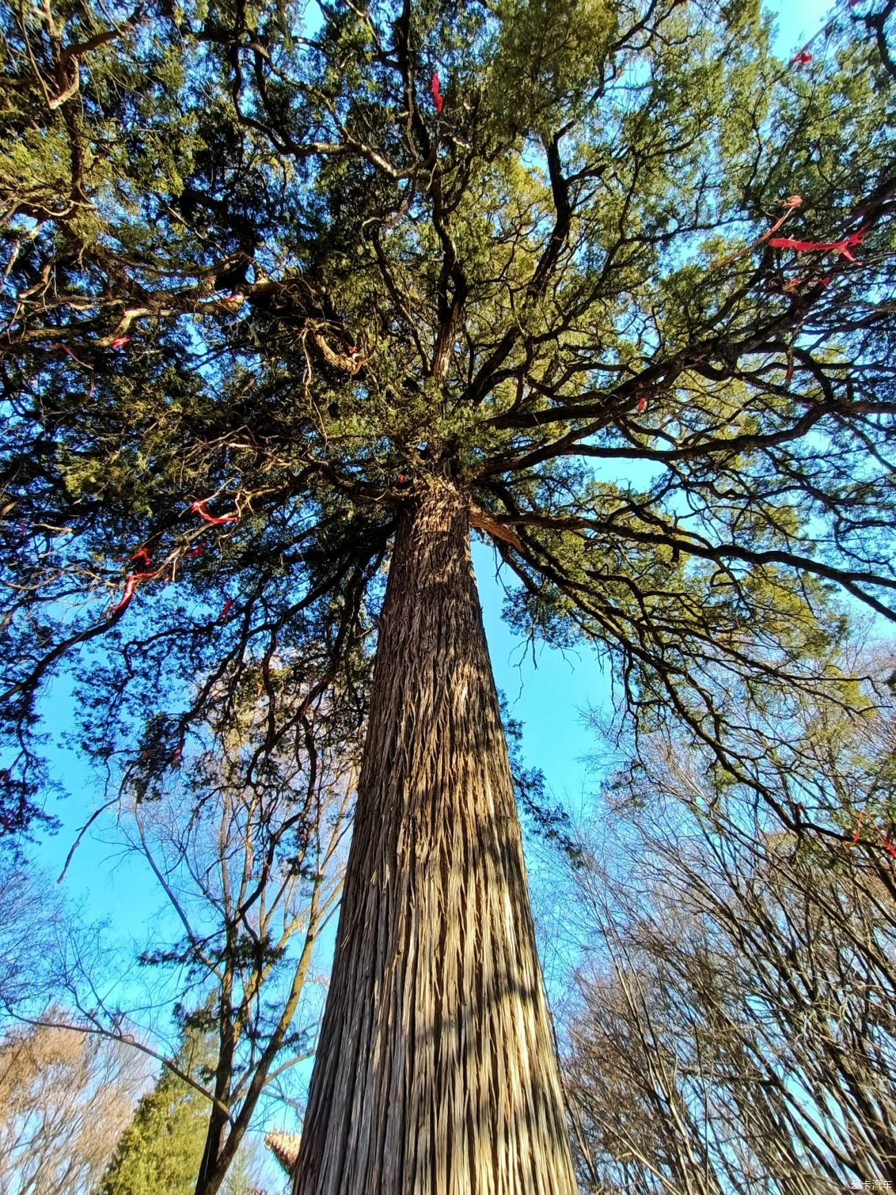 六人行|诗意 · 江湖,六人行