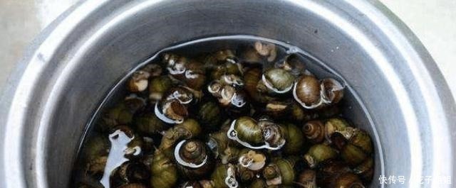 炒菜田螺要掌握这个诀窍,肉质鲜嫩,没有腥味,太好吃了