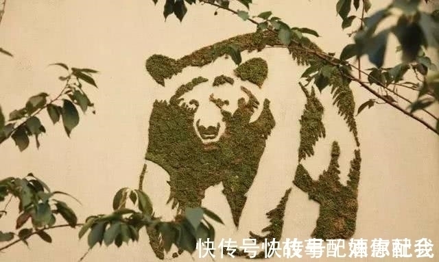 啤酒!他用酸奶、啤酒、苔藓把动物养在墙上,14天后的画面让人惊讶