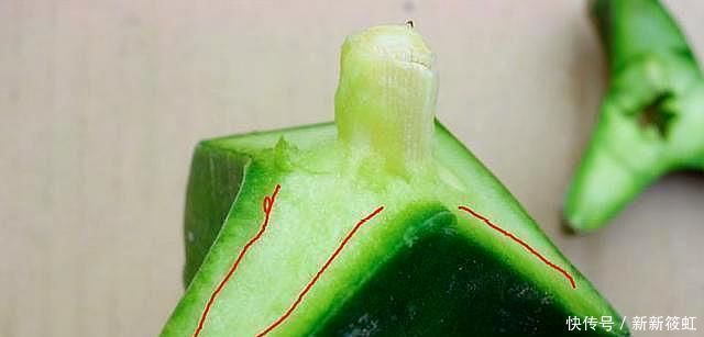 “嫁接”蟹爪兰，不注意这个“小细节”，成活率基本为“零”