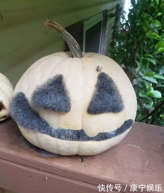 |搞笑趣图:妹纸们玩的很嗨呀,我可以加入么