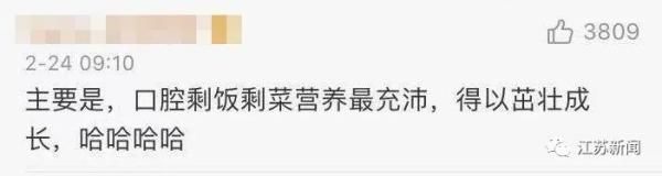 活久见！有人牙缝里的草莓籽发芽了！