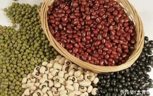 来源|吃豆类好处多，是植物蛋白的极好来源