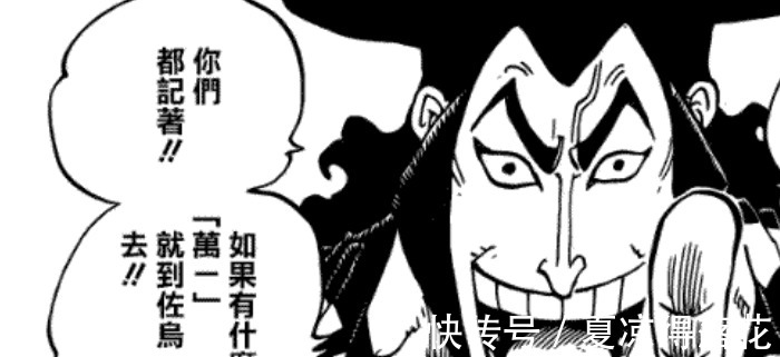 艾斯|《海贼王》和之国篇为何评价如此之低网友漏洞太多无法填补