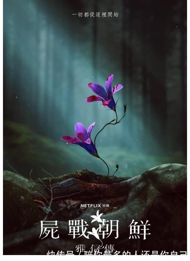 《王國》外傳,《北方的阿信》沒有垮掉,全智賢鏡頭雖少依然驚艷