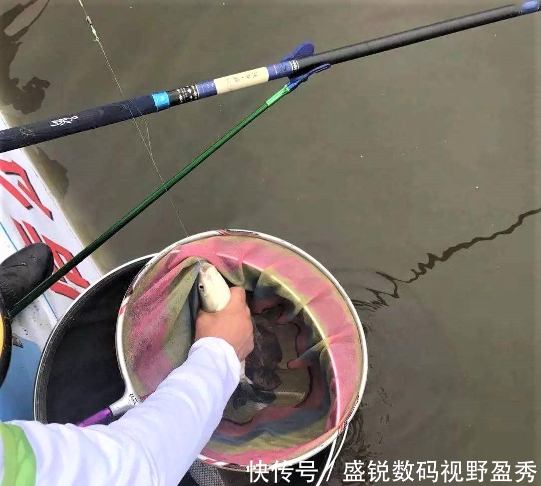 钓鱼精准抓口其实很容易,出现这些漂相,扬竿即中鱼