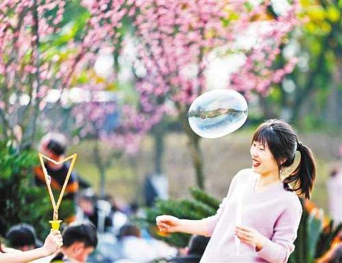 春来花开艳满城 一路繁花一路景