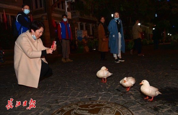 江汉路|网媒总编夜访汉口历史风貌区：体会到武汉人蓬勃的生命力