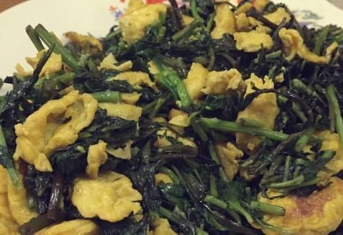 护肝菜|天然的“护肝菜”找到了，隔三差五吃一盘，排出毒素，更利于健康