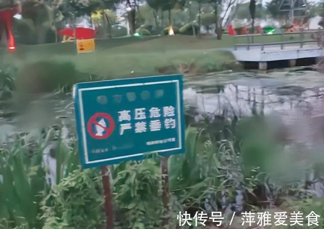 钓鱼|江苏连续发生钓鱼触碰高压电,不幸触电,野钓这几种渔具要当心
