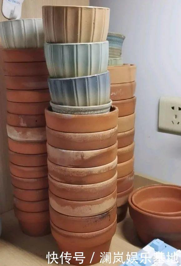 3个月后才回家,家里的花疯了,墙缝、房顶都爬满!