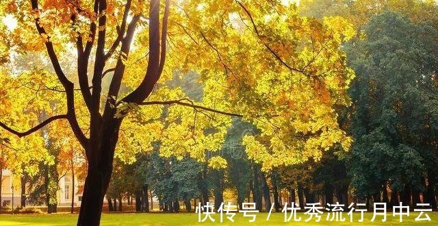 入秋|入秋后记得给孩子吃“3菜3肉3果”,解馋不长肉,为秋冬打好基础!