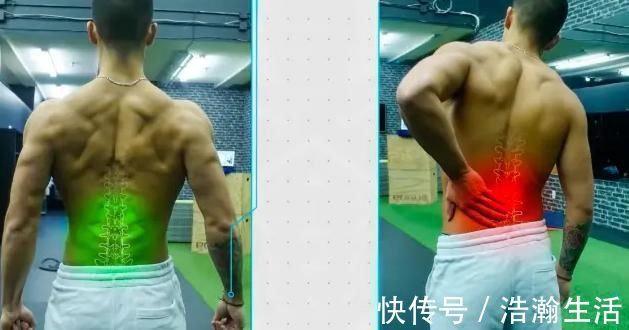 动作|分区域练背，把落后的部位练成优势，打造更强更壮的背部