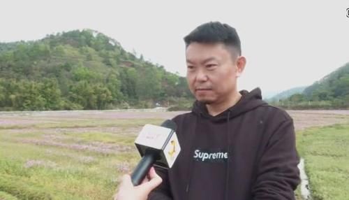 这里的格桑花开满遍地！掏出手机随手一张，美爆朋友圈～