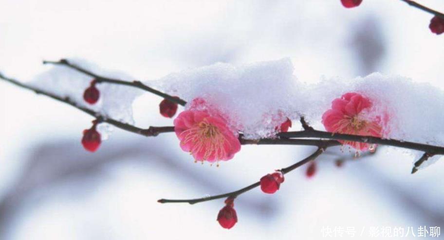 杨万里|杨万里黄昏赏雪,写下首调皮的经典咏雪诗,无一雪字却句句写雪