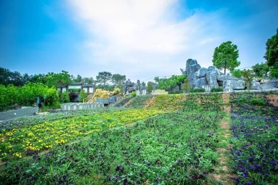 打卡地|中秋小长假!信丰这里不仅有诗意的山水田园，还有9个高颜值打卡地等你来!