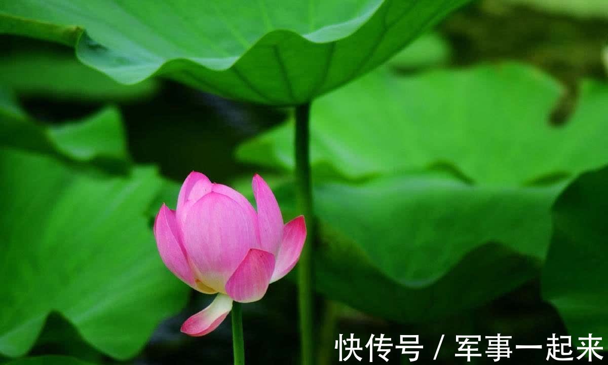 五常|老祖宗:人生有“五常”、“五行”、“五福”,越早知道越好!