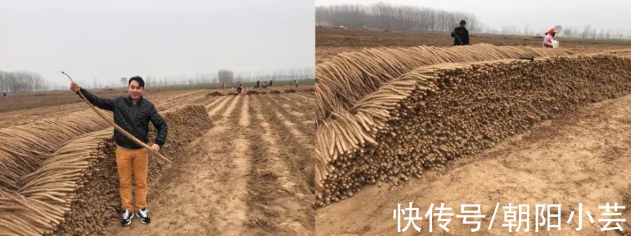 夢想改造家132萬紅磚房開始返堿！專家：只影響外觀，不影響質量