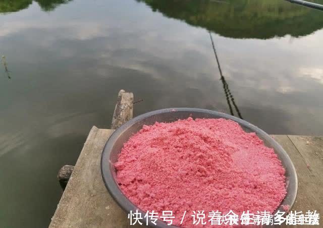 渔具|别拿野钓装备去玩黑坑,新手入坑须知:先得把这些渔具买齐了