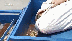 爆火13年,比手工耿还离谱!央视最会“玩”的节目,不只会搞笑!