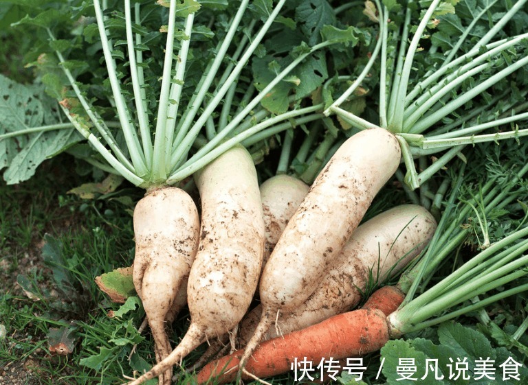 奶奶用40年的腌萝卜方法,一次20斤,三天就能吃,拿肉都不换
