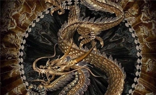 扬子鳄@为啥很多老一辈说自己见过龙?难道是这种动物?现成一级保护动物