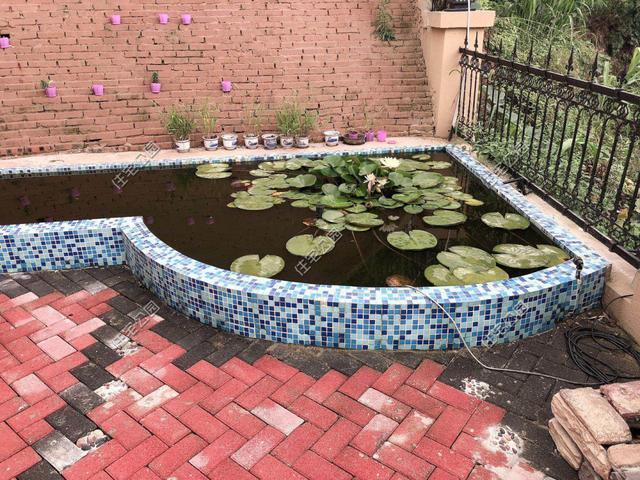 内装|为什么现在的5、60后，不爱社交，开始向往田园养老生活