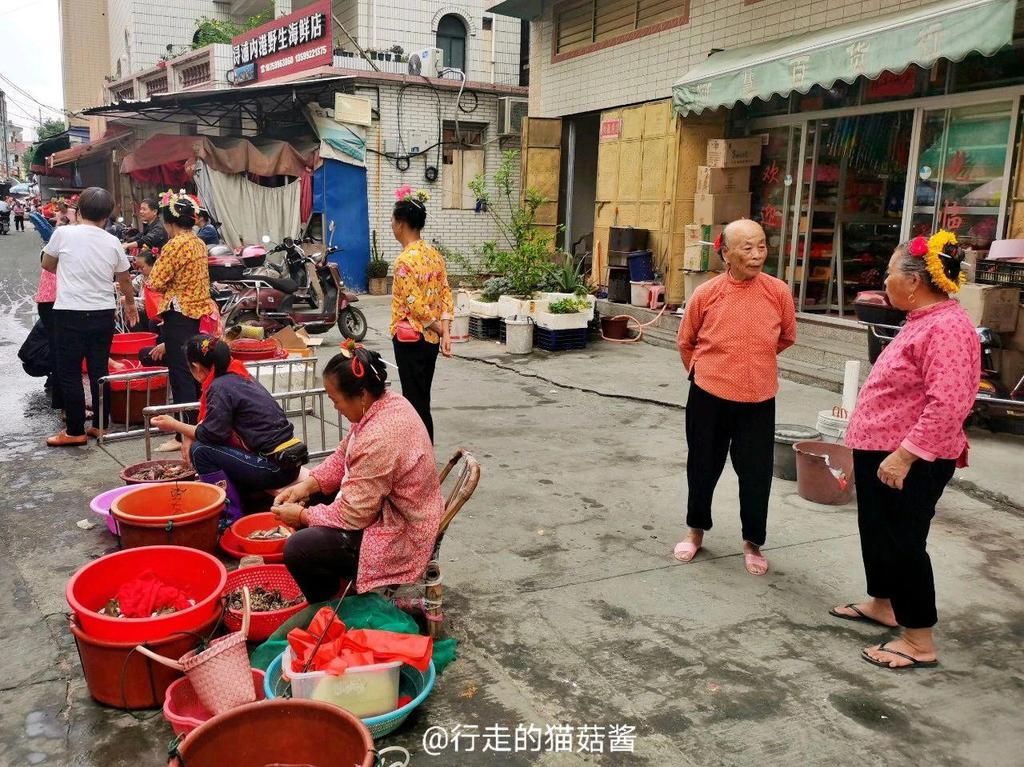 房子|闽南的这个神奇村落，用海蛎壳建房子，居住的是阿拉伯人后裔