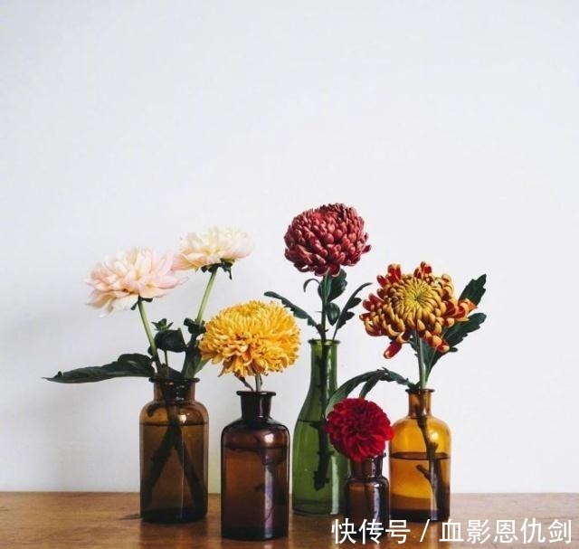 人生|值得收藏一辈子的好句子,经典睿智,句句获益!