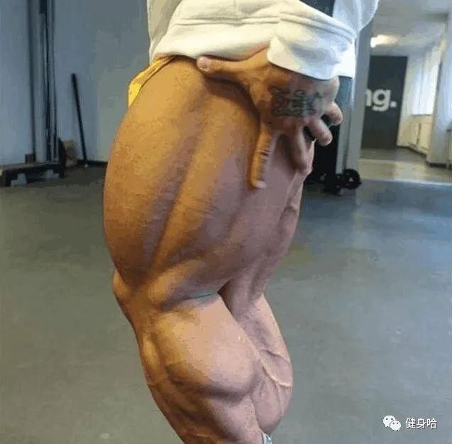 肌肉|健身只练上半身不练腿的人后来都怎么样了