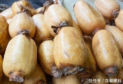 莲藕|买莲藕时,牢记3不买,再便宜也不要,卖藕老板我们家从来不吃