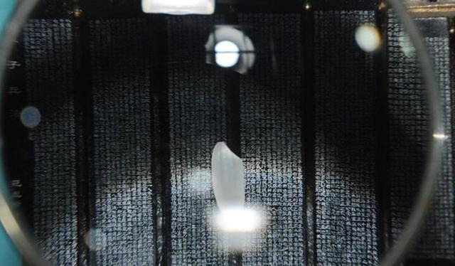 延生在进行|毫厘之间显功力 六旬微雕师“以刀代笔”刻出《孙子兵法》