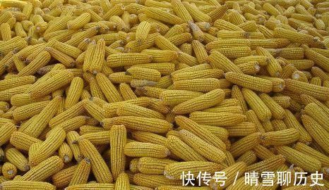 此物|忠告玉米不能与此物同食，吃了就是没病找病