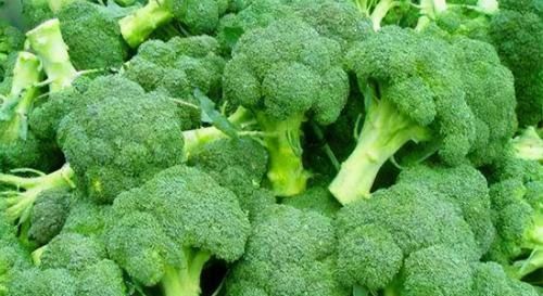 女性过了40岁,常吃4种食物,净化血液,排除毒素,增强抵抗力