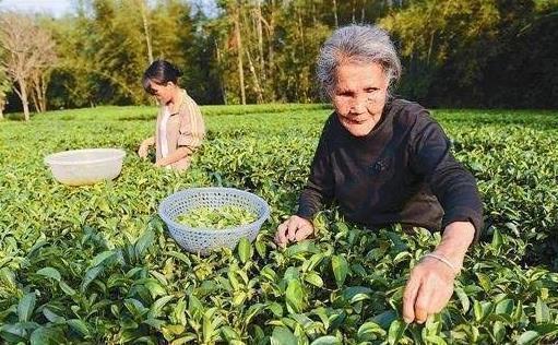 分泌|长寿的老人的5大特点,45岁以后能占3个以上,长寿会偏爱你