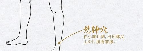  收藏|神奇的八会穴，经常拍打可调理多种疾病，收藏起来，和家人一起学