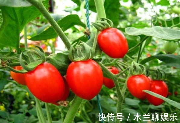 排毒|想长寿,就要排毒,常吃3种食物,清热排毒,滋肝补肾,滋补身体